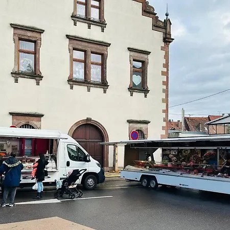 « the Wave » Studio Cosy Plein Centre !