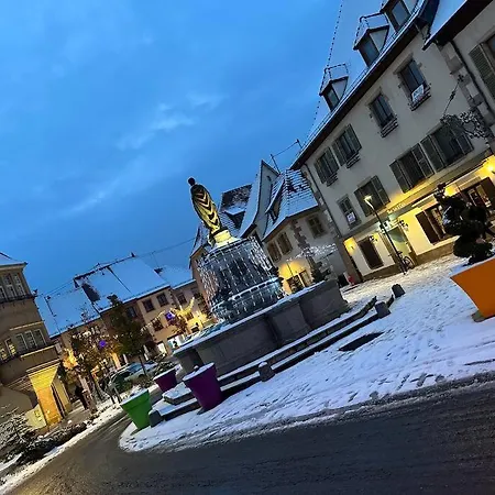 « the Wave » Cosy Plein Centre ! *