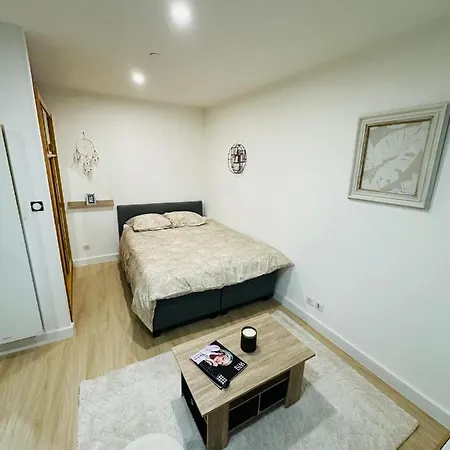 Apartment « the Wave » Cosy Plein Centre !